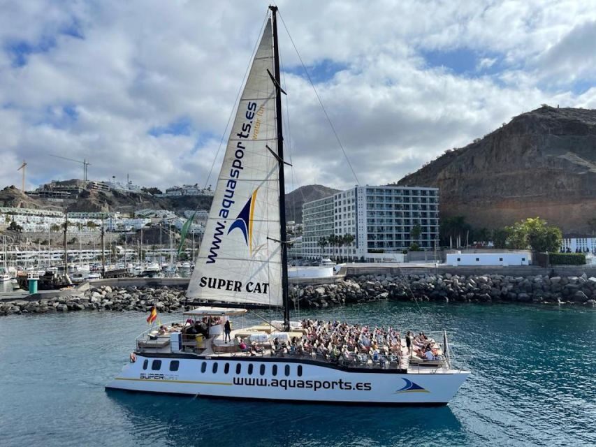 Puerto Rico de Gran Canaria: Premium Dolphin Catamaran Tour - Pickup and Drop-Off: Staying in the South Simplifies Everything