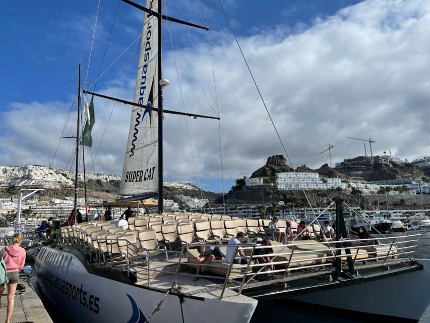 Puerto Rico de Gran Canaria: Premium Dolphin Catamaran Tour - Price and Value: Is $75 Worth It for 4 Hours?