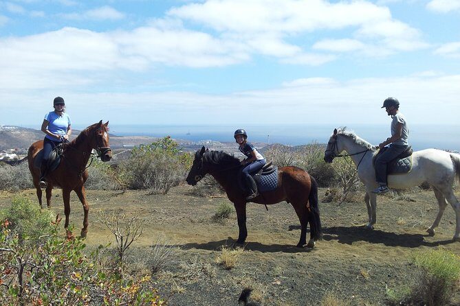 Relaxing Horse Riding Tour in Gran Canaria - Key highlights to know before you book