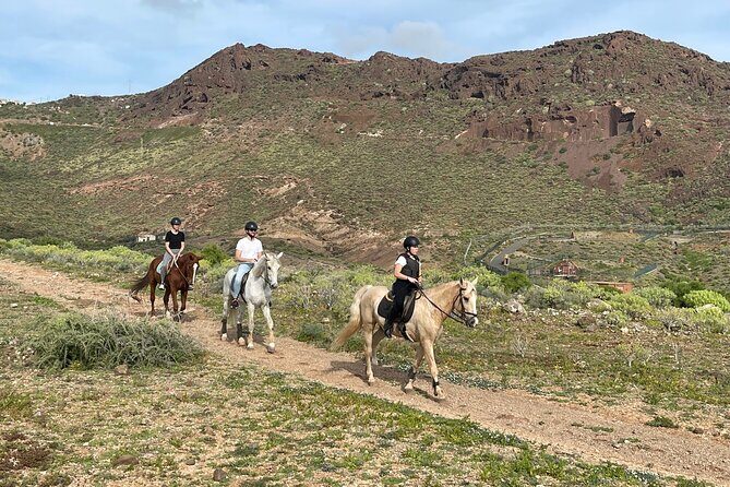 Relaxing Horse Riding Tour in Gran Canaria - Starting at Camino del Cardonal: Getting There and Getting Ready