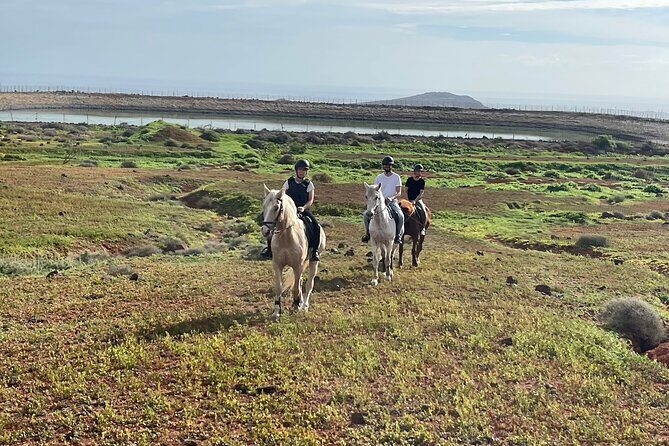 Relaxing Horse Riding Tour in Gran Canaria - The Paddock Test: Learning Control Before the Scenic Stretch