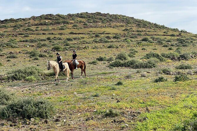 Relaxing Horse Riding Tour in Gran Canaria - Riding Across Fields With Sea and Mountain Views