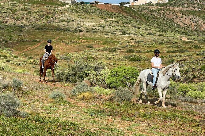 Relaxing Horse Riding Tour in Gran Canaria - Price and Duration: Is $42.17 Good Value?