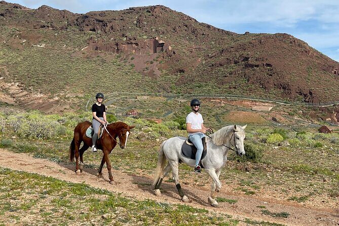 Relaxing Horse Riding Tour in Gran Canaria - Who This Horse Riding Tour Is Best For (And Who Might Skip)