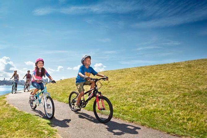 Rent City Bike 18 gears from 4 hours to 7 days: Visit Maspalomas - Yacimiento Punta Mujeres: Guanche-era circles right on the promenade