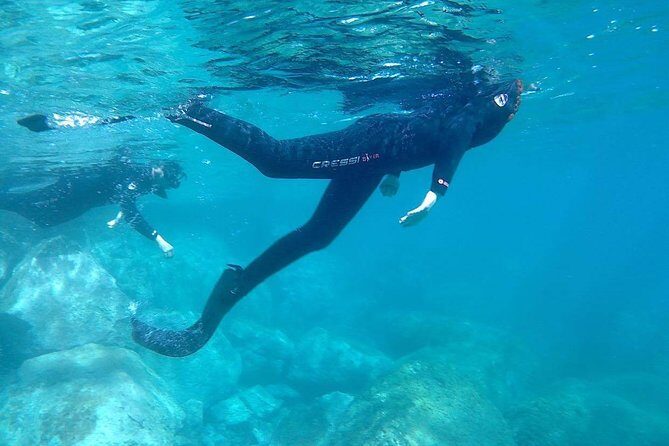 Snorkeling in Gran Canaria with Hotel Pick-up - Group Size and English: The Social Side of the Morning