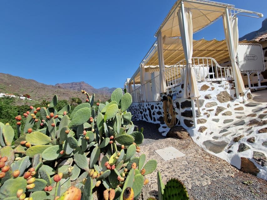 Spanish Cured Meats & Wine Tasting Tour in Mogan - Key Highlights You’ll Actually Feel