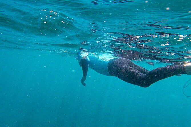 Stand Up Paddle and Snorkeling Tour of Gran Canaria with Transfers south area - Gran Canaria from the water: why this combo tour works