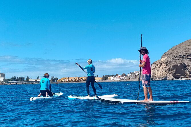 Stand Up Paddle and Snorkeling Tour of Gran Canaria with Transfers south area - 9:00 start and south-area hotel transfers (the easy part)