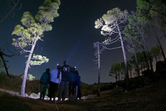 Sunset Hike and Stargazing Experience in Roque Nublo Mountains - Getting your gear and finding the mountain rhythm