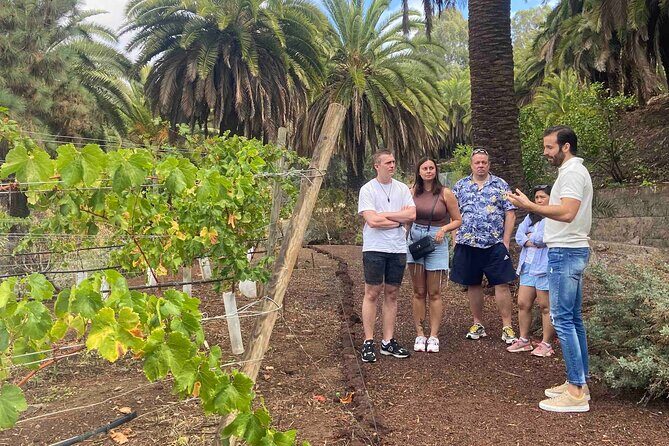 Taste Gran Canaria's unique wines - Wine House Museum and the winemaker welcome: the part that feels most real