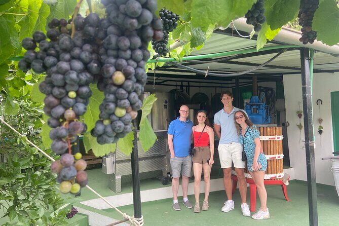 Taste Gran Canaria's unique wines - The tasting: what you’ll sip and how pairing helps you notice differences