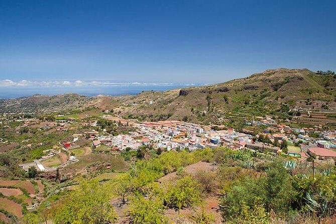 Teror and San Mateo Traditional Markets - Gran Canaria - Vega de San Mateo: Local Market Time and What to Look For