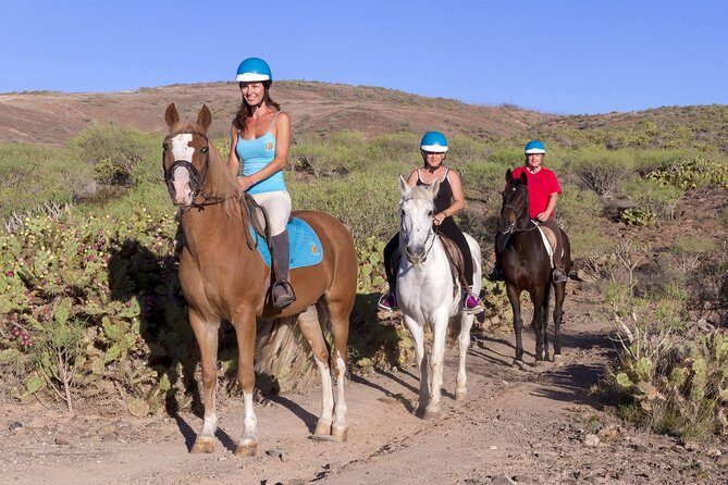 The Best Horse Riding Experience in Gran Canaria (1 hour) - One Hour, Big Views: El Salobre’s Saddle Route to Maspalomas