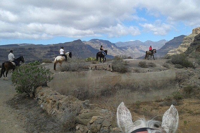 The Best Horse Riding Experience in Gran Canaria (1 hour) - Hotel Pickup That Actually Helps (Instead of Hype)