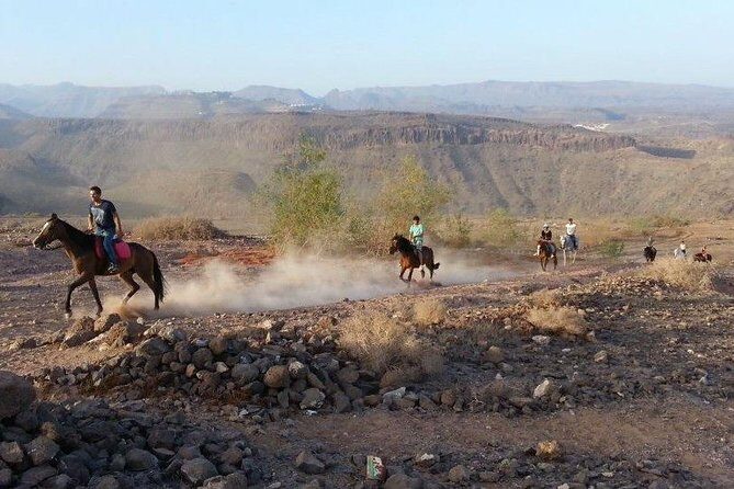 The Best Horse Riding Experience in Gran Canaria (1 hour) - Timing, Weather, and What to Wear So You Actually Enjoy It