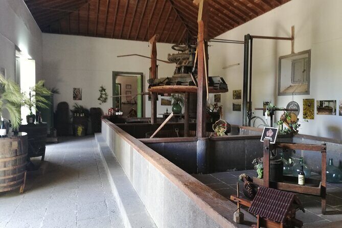 The best of Gran Canaria: 4 Hours Private Cruise Tour - Bodega San Juan – Museo del Vino: more than tasting, it’s learning the Canarian way