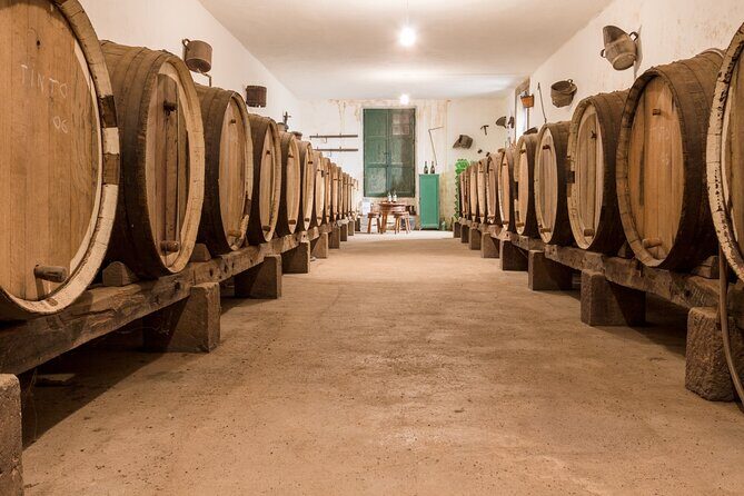 Winery Tour, Wine Museum, and Tasting in Gran Canaria - The story stage: vineyards, family photos, and the small museum